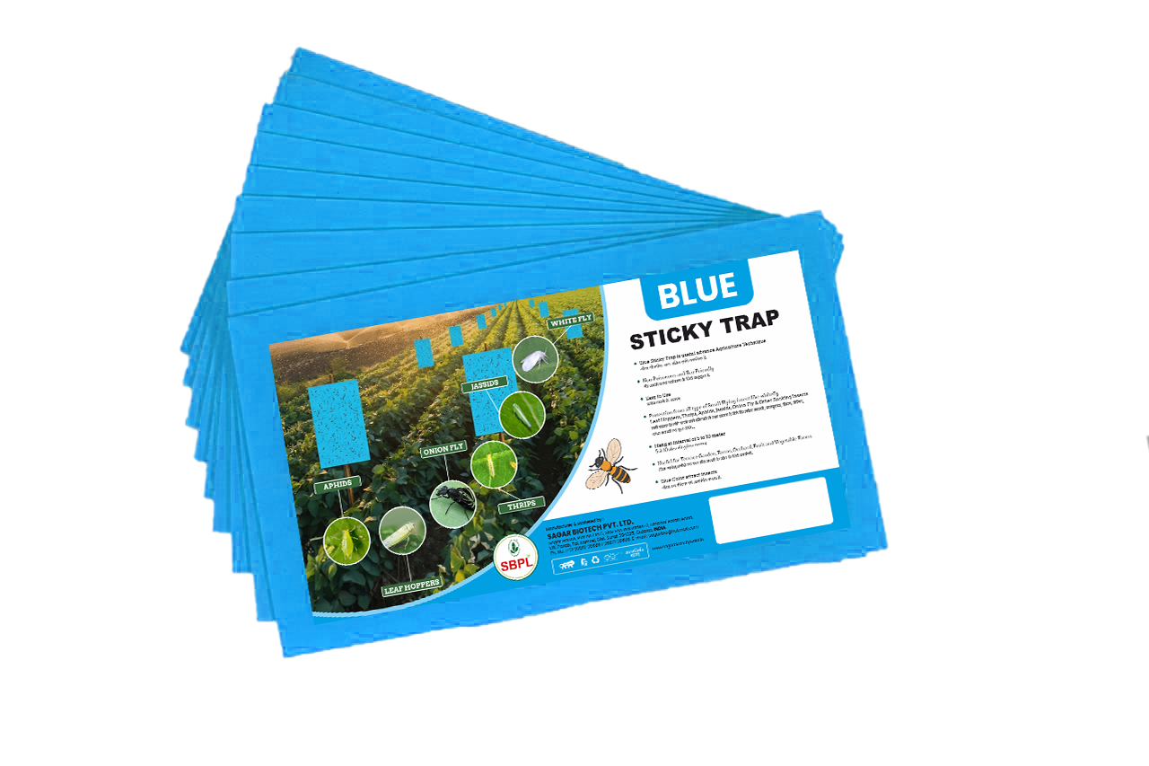 Blue Sticky Trap