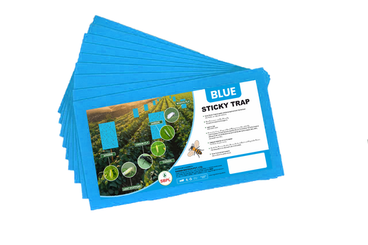 Blue Sticky Trap