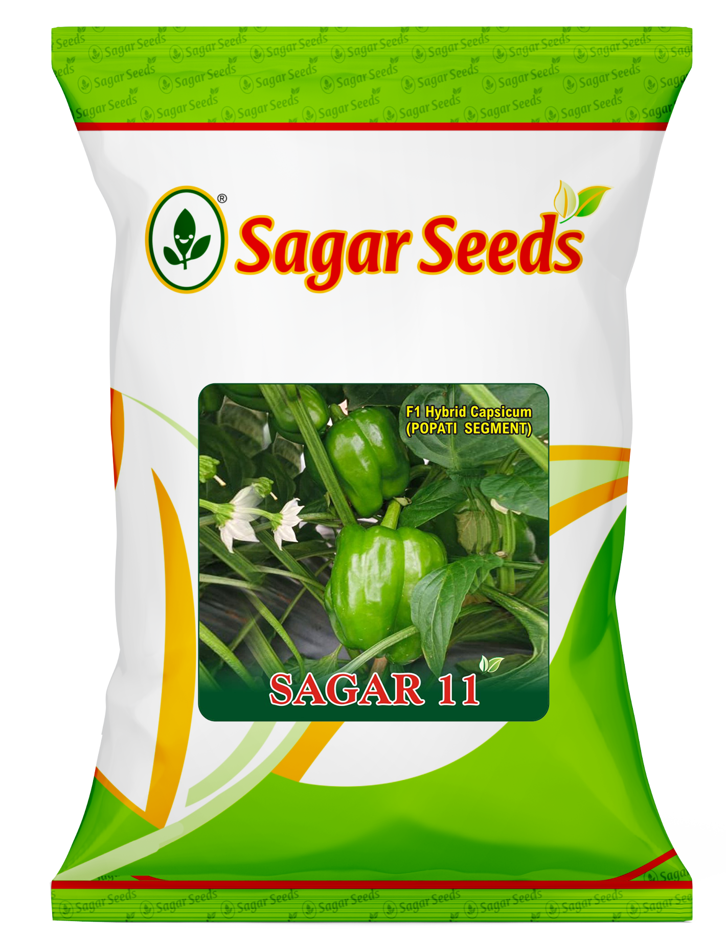 Sagar 11