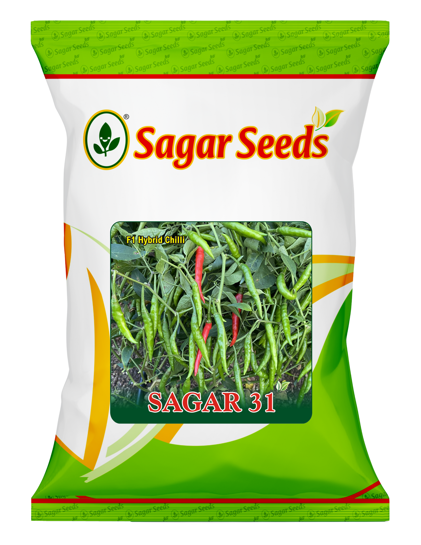 Sagar 31