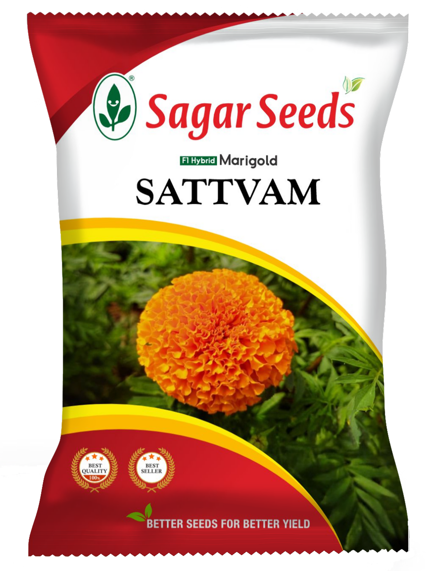 Satvam