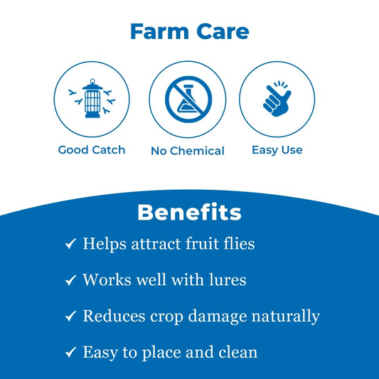 Fruit Fly Block