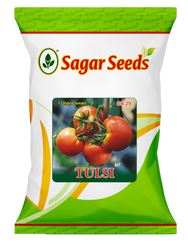 Tulsi