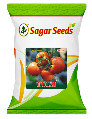 Tulsi