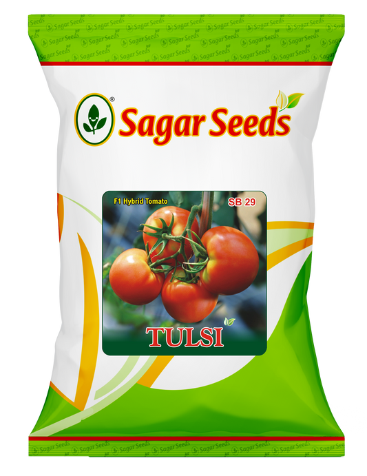 Tulsi