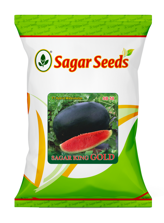 Sagar King Gold