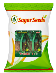 Tanvi 111