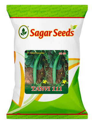 Tanvi 111