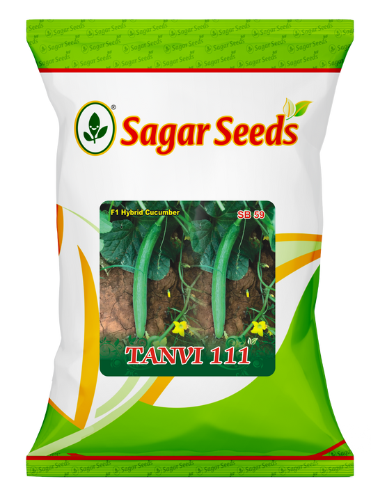 Tanvi 111