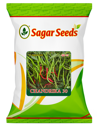 Chandrika 30