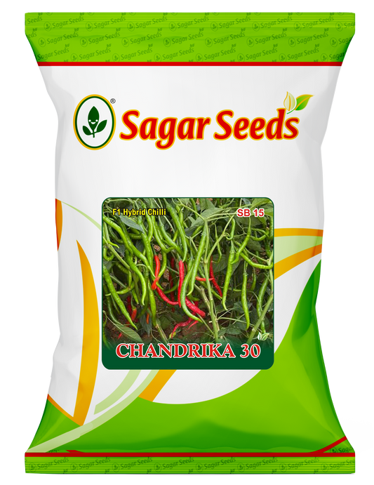 Chandrika 30