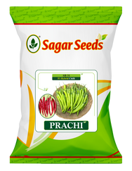 Prachi
