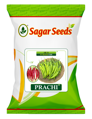 Prachi