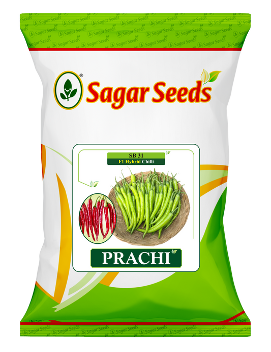 Prachi