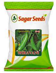 Shravani