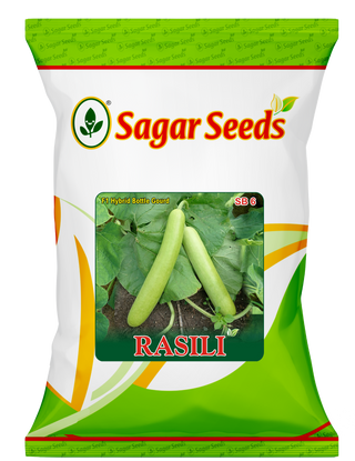 Rasili