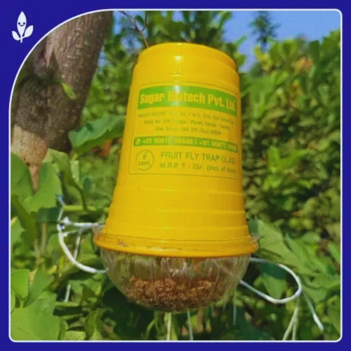 Fruit Fly Block & Fruit Fly Glass Trap