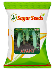 Avani