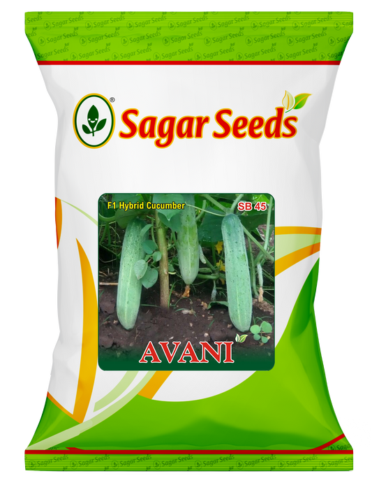 Avani