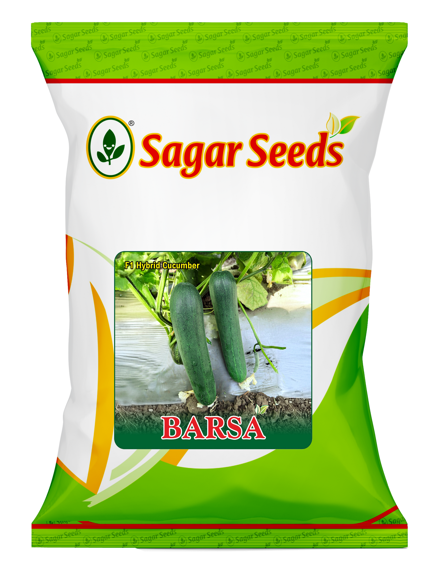 Barsa