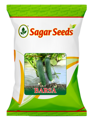 Barsa