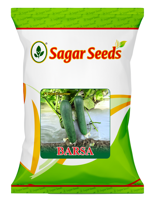 Barsa