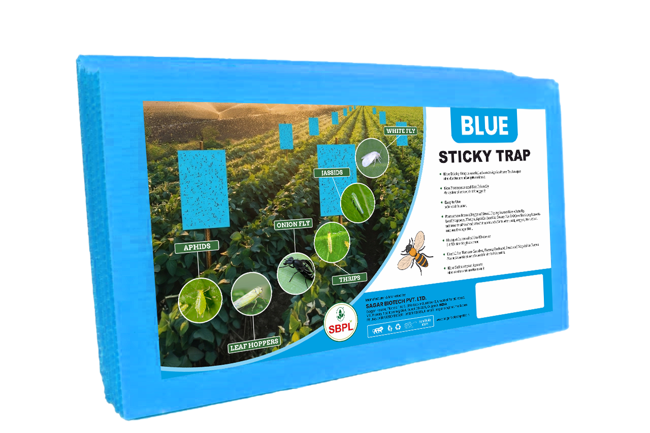 Blue Sticky Trap