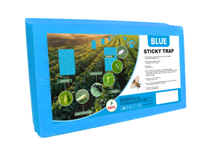 Blue Sticky Trap