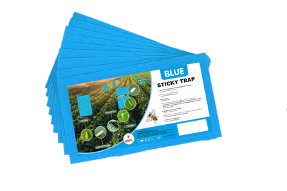 Blue Sticky Trap