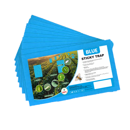 Blue Sticky Trap 20 PCS