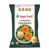Chandan