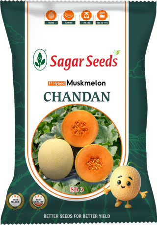 Chandan