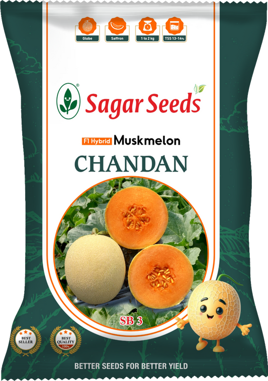 Chandan