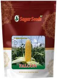 Falcon