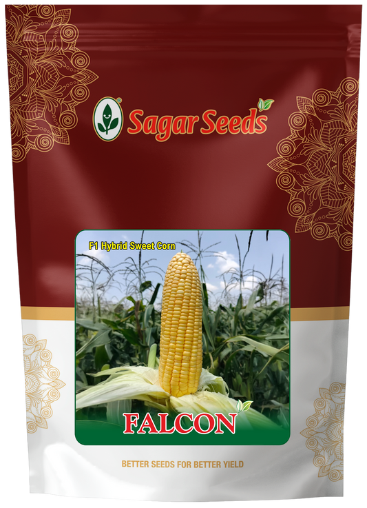 Falcon