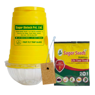 Fruit Fly Block & Fruit Fly Glass Trap