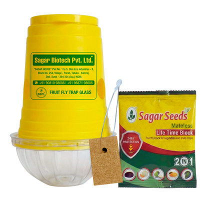 Fruit Fly Block & Fruit Fly Glass Trap