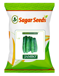 Jumbo