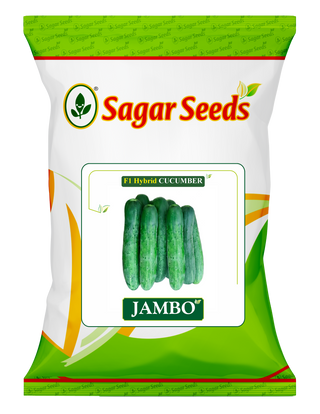 Jumbo