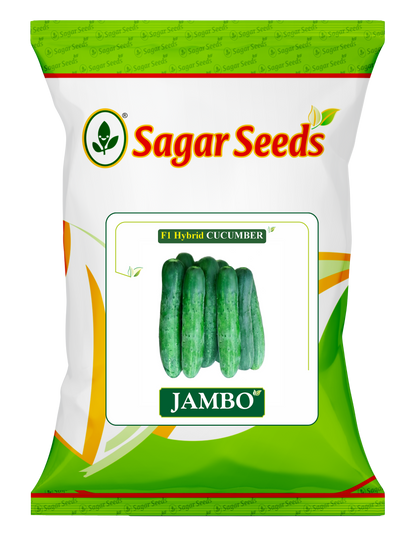 Jumbo