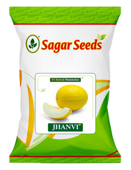 Jhanvi