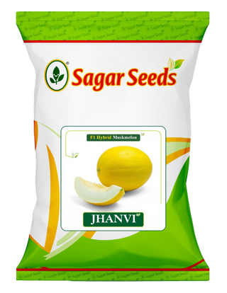 Jhanvi