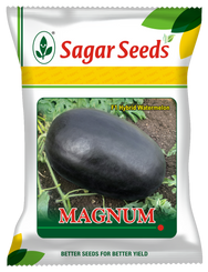 Magnum