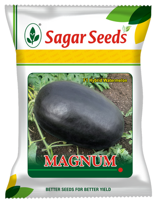 Magnum