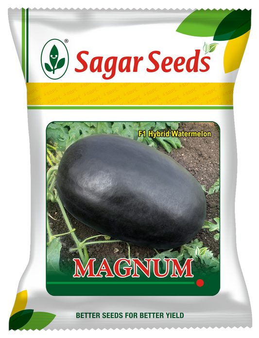 Magnum