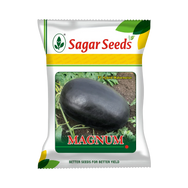 Magnum