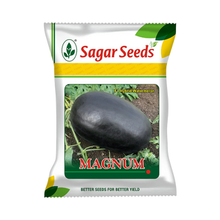 Magnum