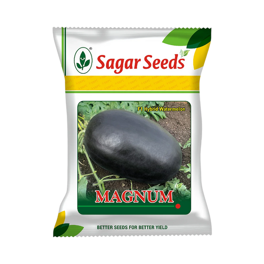 Magnum