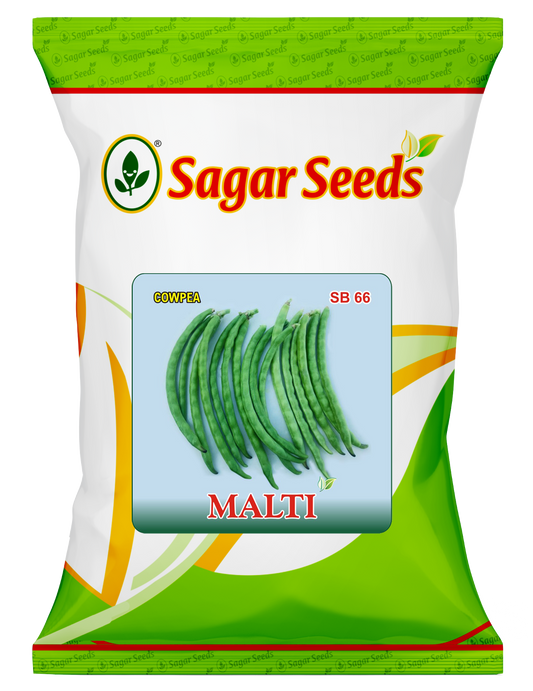 Malti