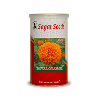 Royal Orange